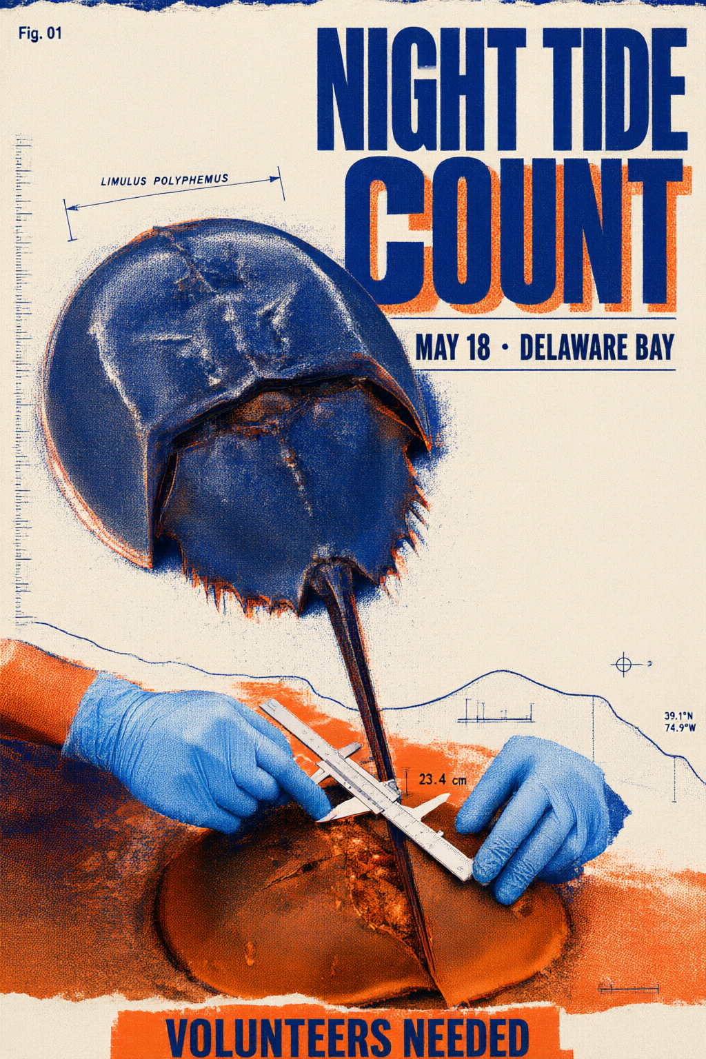 Horseshoe Crab Volunteer Social Post