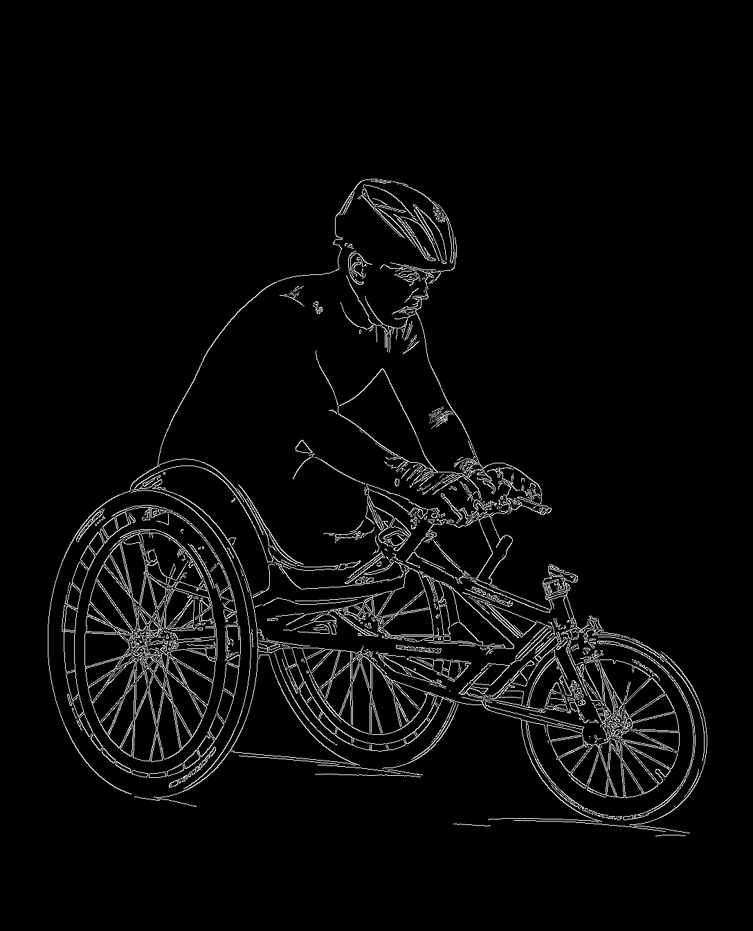 Wheelchair Racer Arena Composite