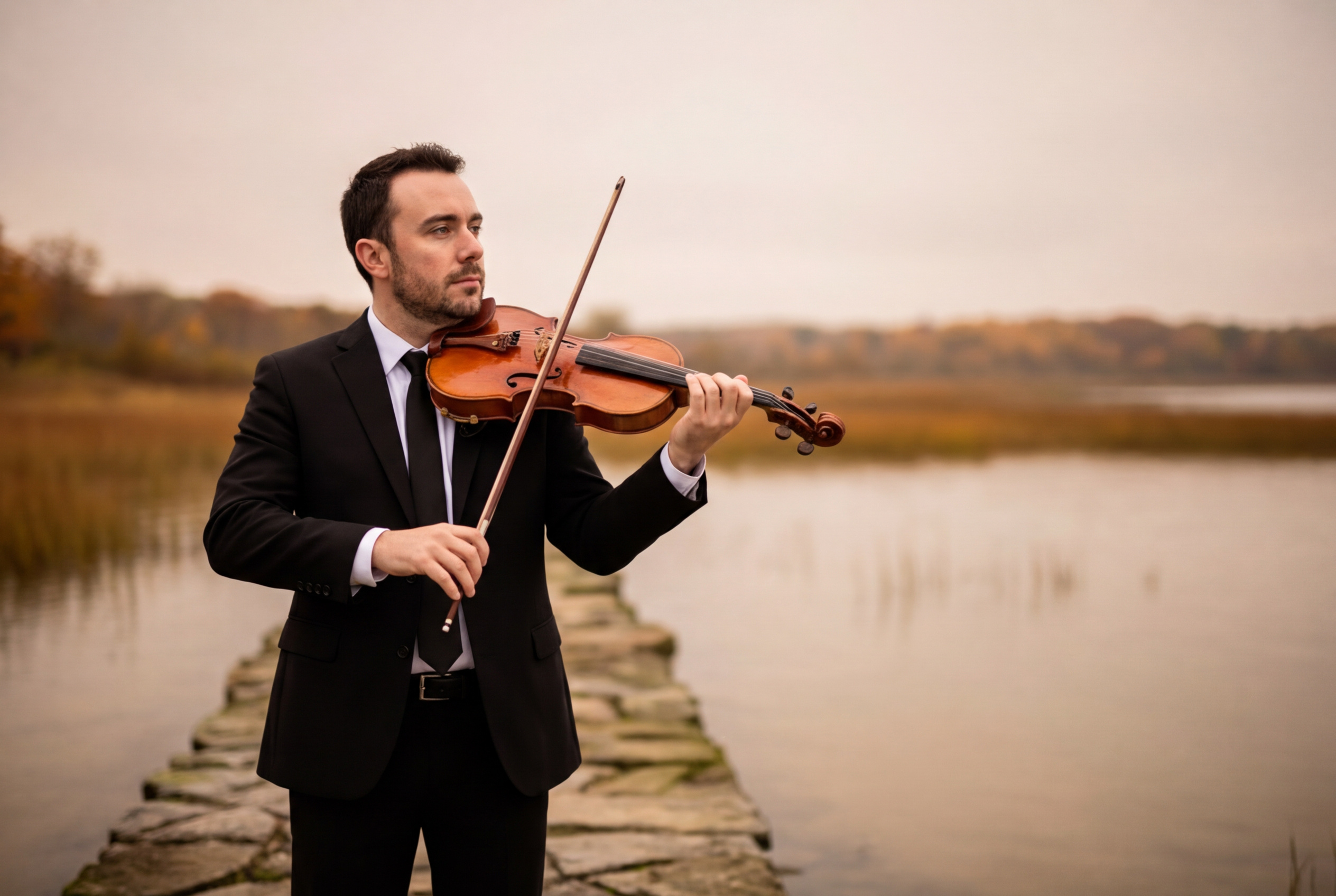 Foggy Violin Causeway Tableau