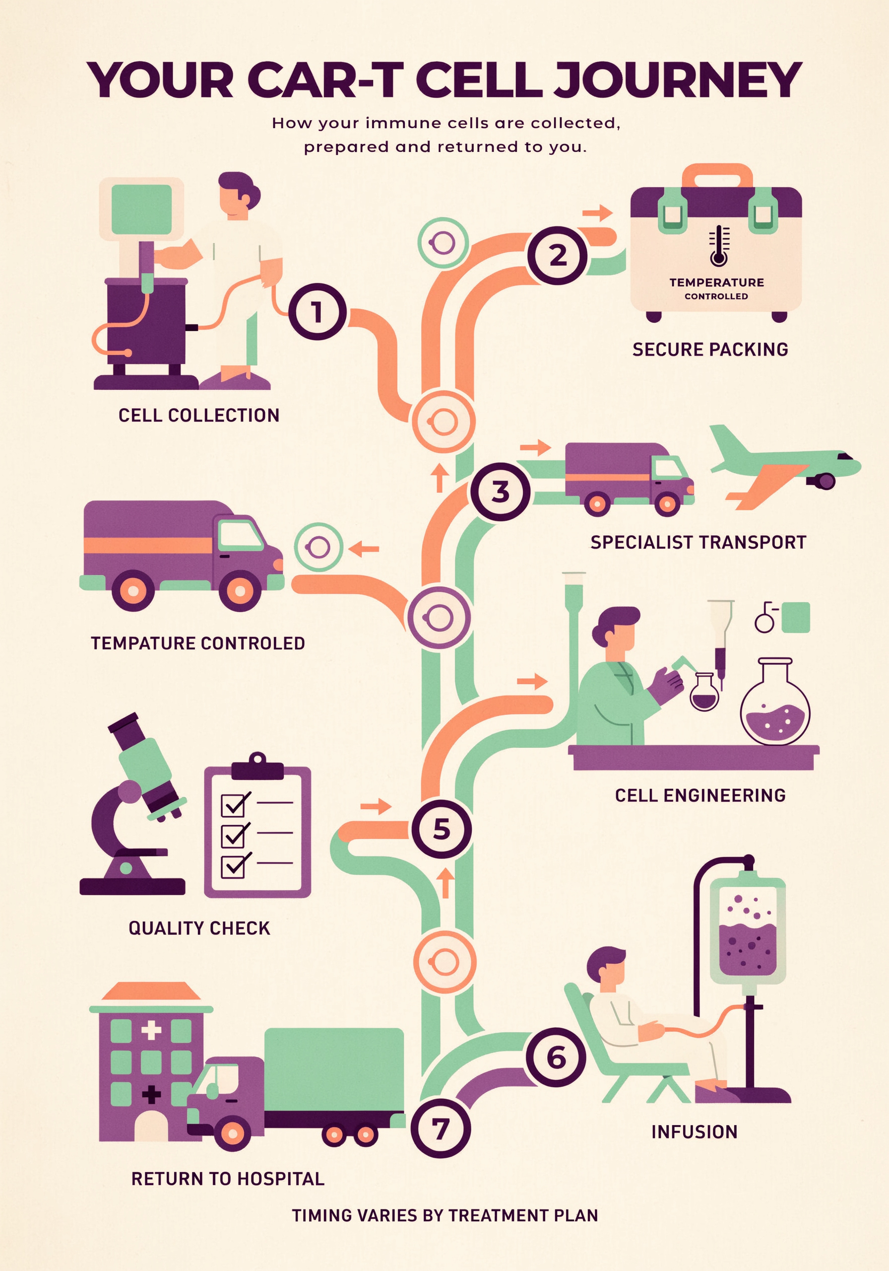 Cell Therapy Journey Infographic