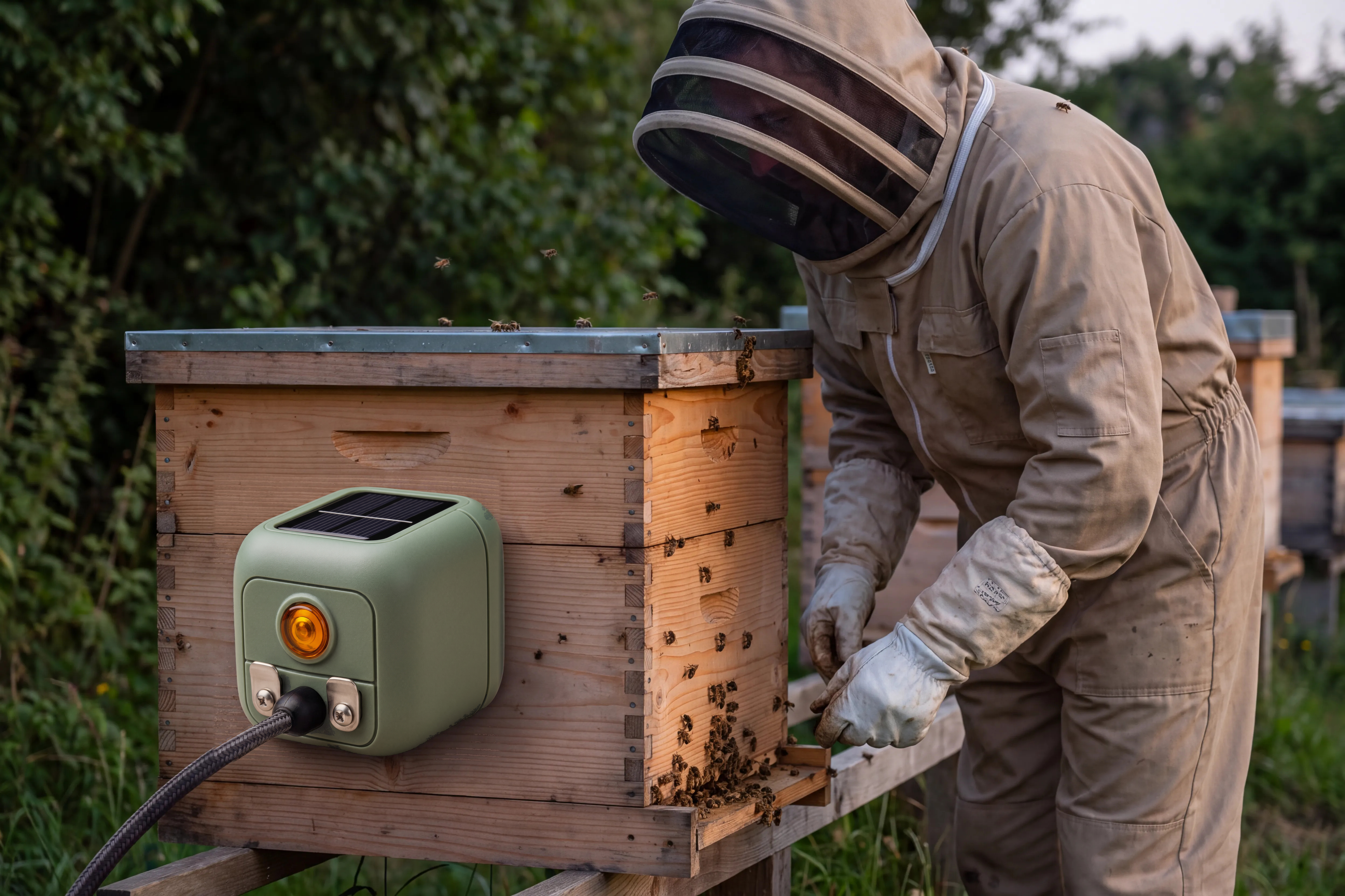 Apiary Sensor Lifestyle Photograph