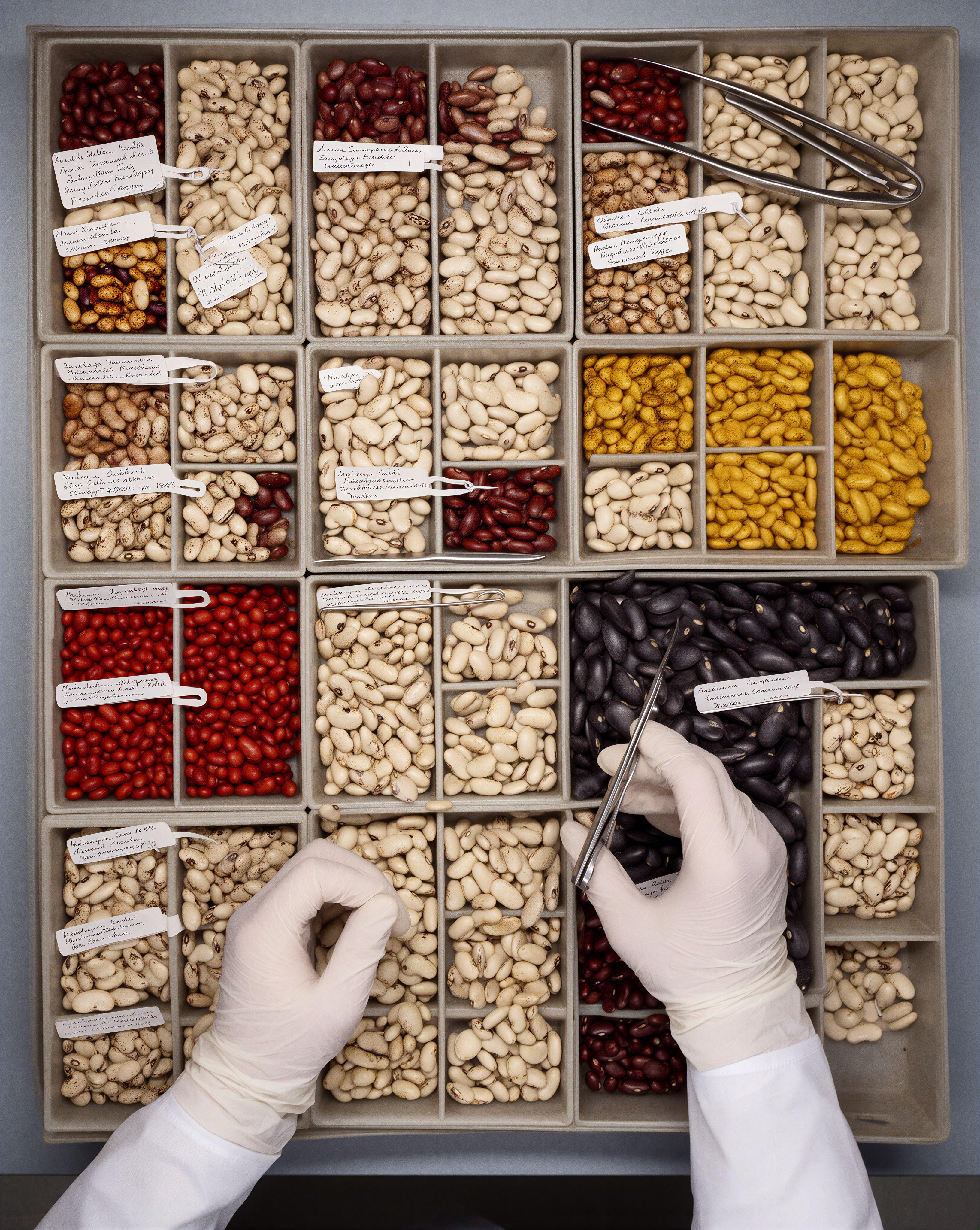 Seed Bank Analog Editorial Image